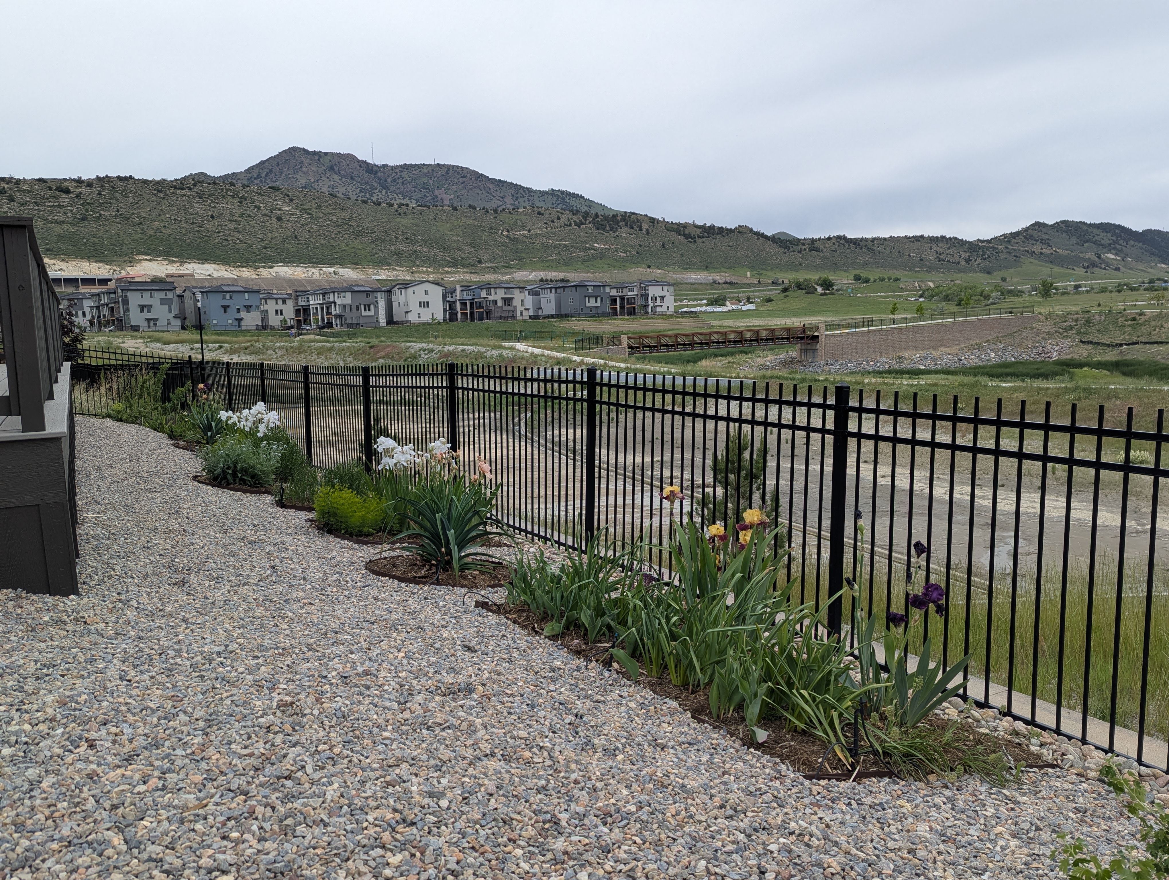 Garden, Flowers, Morrison, Colorado